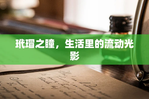 玳瑁之瞳，生活里的流动光影