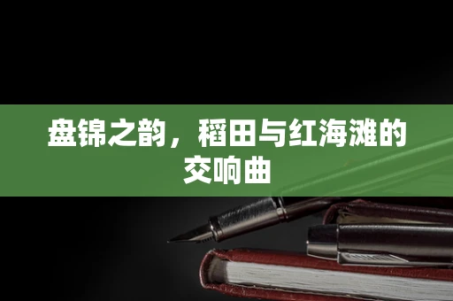 盘锦之韵，稻田与红海滩的交响曲