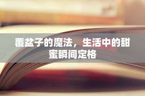 覆盆子的魔法，生活中的甜蜜瞬间定格