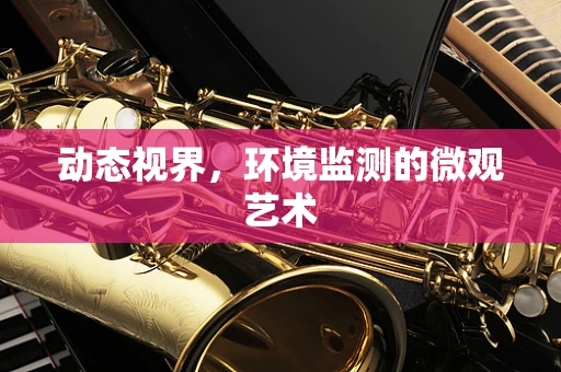 动态视界，环境监测的微观艺术