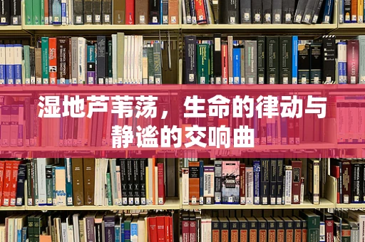 湿地芦苇荡，生命的律动与静谧的交响曲