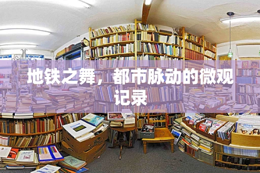 地铁之舞，都市脉动的微观记录