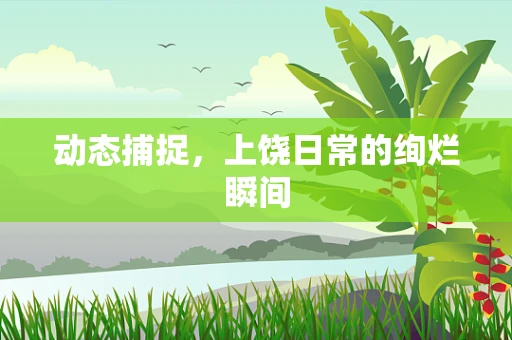 动态捕捉，上饶日常的绚烂瞬间
