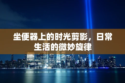坐便器上的时光剪影，日常生活的微妙旋律