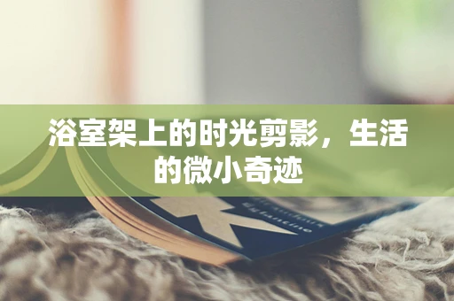 浴室架上的时光剪影，生活的微小奇迹