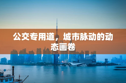 公交专用道，城市脉动的动态画卷