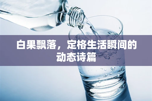 白果飘落，定格生活瞬间的动态诗篇