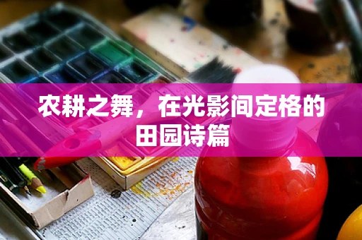 农耕之舞，在光影间定格的田园诗篇