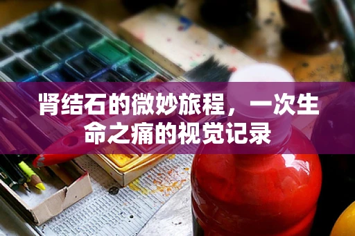 肾结石的微妙旅程，一次生命之痛的视觉记录