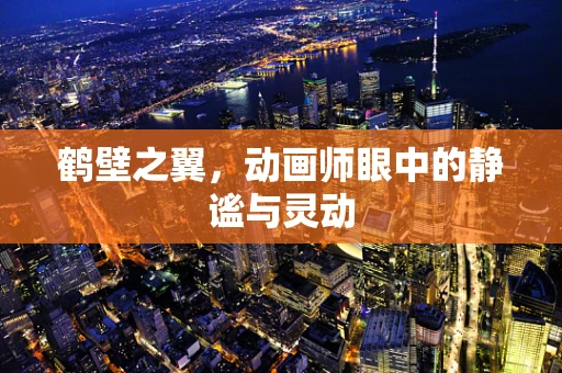 鹤壁之翼，动画师眼中的静谧与灵动