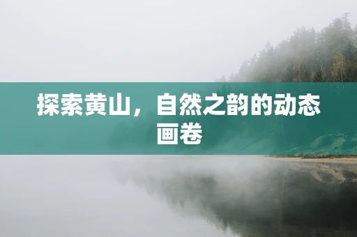 探索黄山，自然之韵的动态画卷