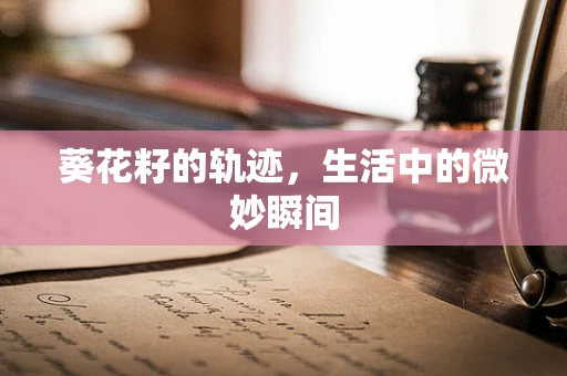 葵花籽的轨迹，生活中的微妙瞬间