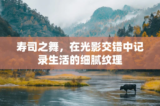 寿司之舞，在光影交错中记录生活的细腻纹理