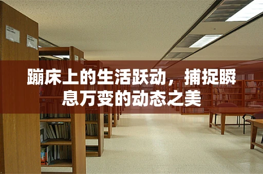 蹦床上的生活跃动，捕捉瞬息万变的动态之美