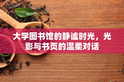 大学图书馆的静谧时光，光影与书页的温柔对话
