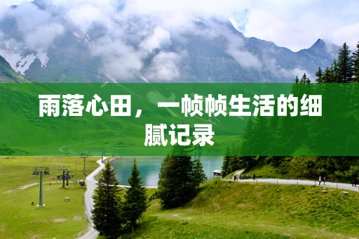 雨落心田，一帧帧生活的细腻记录