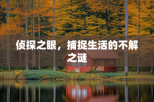 侦探之眼，捕捉生活的不解之谜