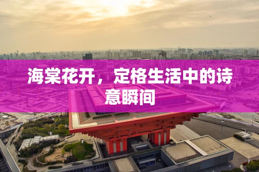 海棠花开，定格生活中的诗意瞬间