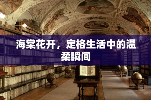 海棠花开，定格生活中的温柔瞬间