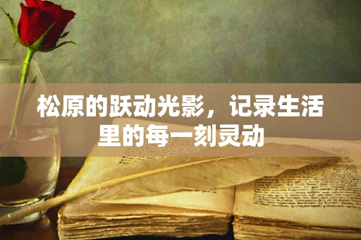 松原的跃动光影，记录生活里的每一刻灵动