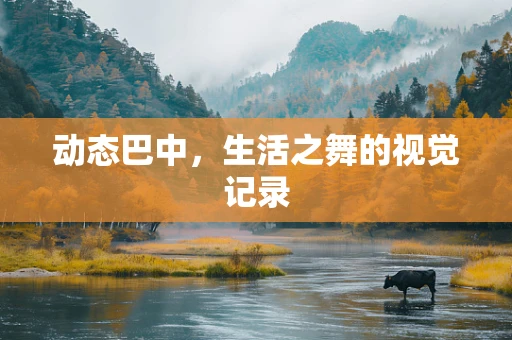 动态巴中，生活之舞的视觉记录