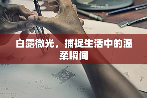 白露微光，捕捉生活中的温柔瞬间