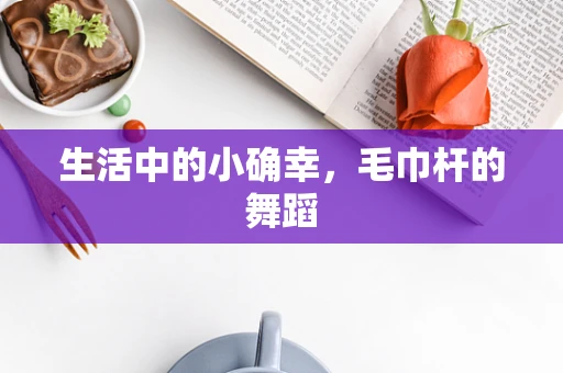 生活中的小确幸，毛巾杆的舞蹈
