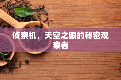 侦察机，天空之眼的秘密观察者