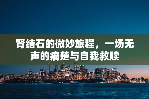 肾结石的微妙旅程，一场无声的痛楚与自我救赎