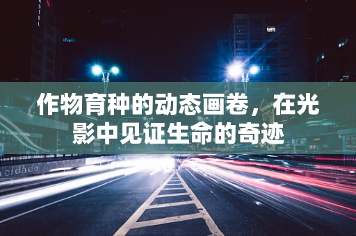 作物育种的动态画卷，在光影中见证生命的奇迹