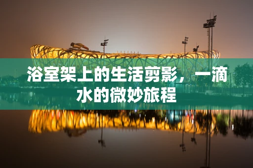 浴室架上的生活剪影，一滴水的微妙旅程