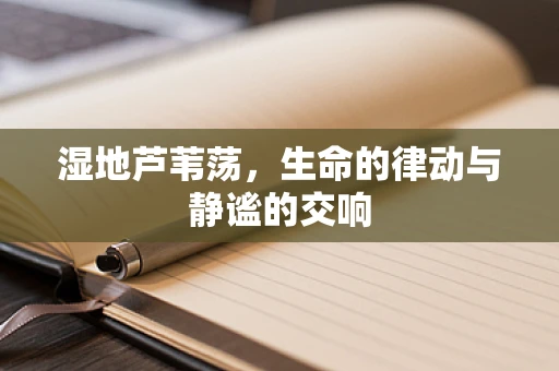 湿地芦苇荡，生命的律动与静谧的交响