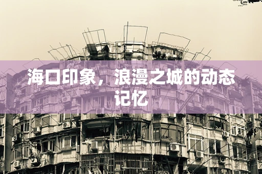 海口印象，浪漫之城的动态记忆