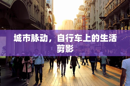 城市脉动，自行车上的生活剪影