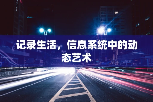 记录生活，信息系统中的动态艺术