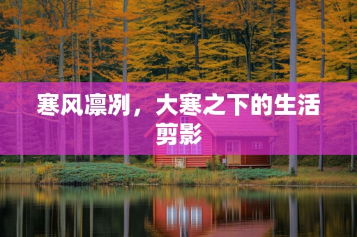 寒风凛冽，大寒之下的生活剪影