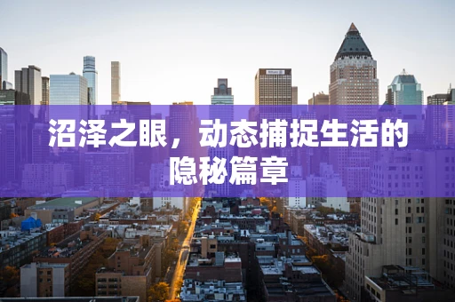 沼泽之眼，动态捕捉生活的隐秘篇章
