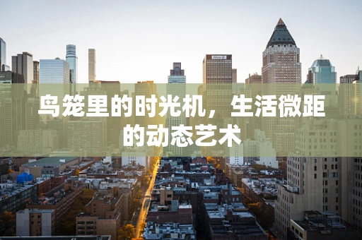 鸟笼里的时光机，生活微距的动态艺术