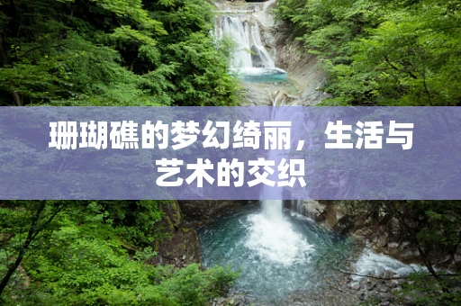 珊瑚礁的梦幻绮丽，生活与艺术的交织