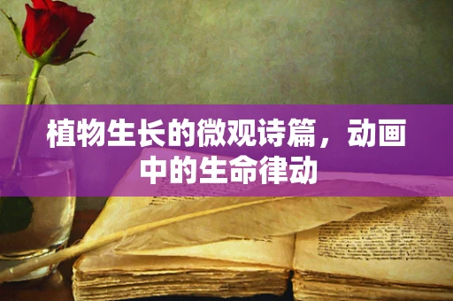 植物生长的微观诗篇，动画中的生命律动