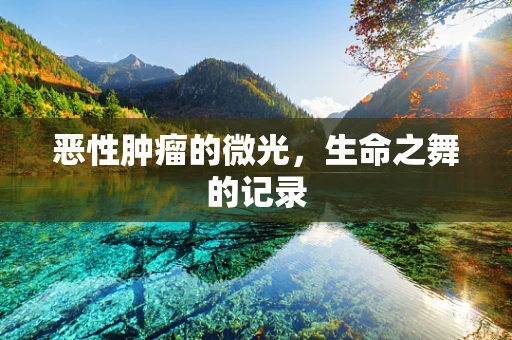 恶性肿瘤的微光，生命之舞的记录