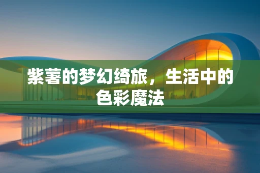 紫薯的梦幻绮旅，生活中的色彩魔法