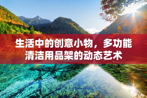 生活中的创意小物，多功能清洁用品架的动态艺术