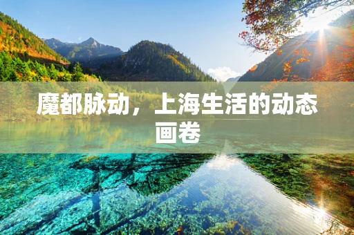 魔都脉动，上海生活的动态画卷