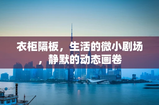 衣柜隔板，生活的微小剧场，静默的动态画卷