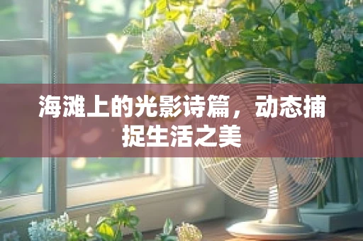 海滩上的光影诗篇，动态捕捉生活之美