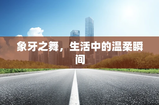 象牙之舞，生活中的温柔瞬间