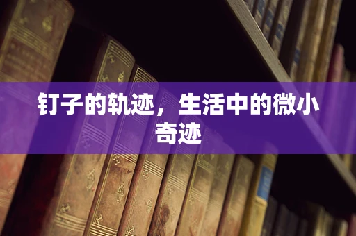 钉子的轨迹，生活中的微小奇迹