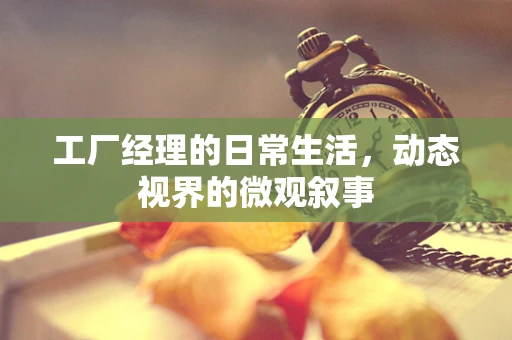 工厂经理的日常生活，动态视界的微观叙事