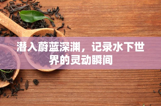 潜入蔚蓝深渊，记录水下世界的灵动瞬间